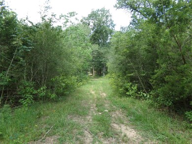 31375 Joseph Rd, Hockley, TX 77447 - photo 5