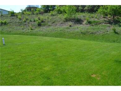 Yard/Garden.