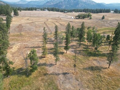 329X Skok Rd, Valley, WA 99181 - photo 5