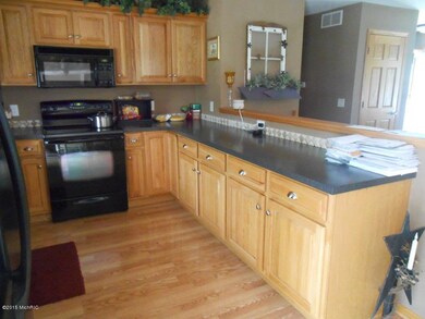 3579 7th St, Wayland, MI 49348 - photo 2