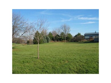 Yard.