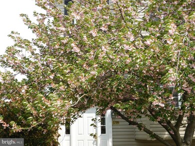 5799 Indian Cedar Ct, Frederick, MD 21703 - photo 2