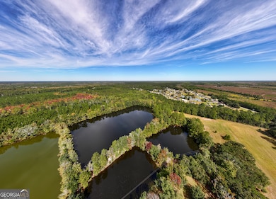 85 ACRES Catfish Farm Rd SE, Townsend, GA 31331 - photo 4