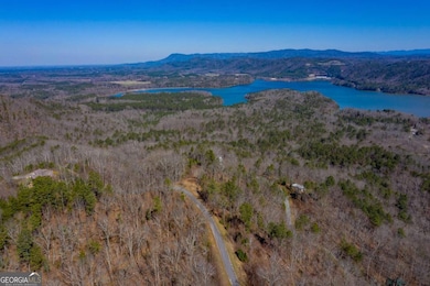 278 Carters Overlook Dr, Ranger, GA 30734 - photo 3