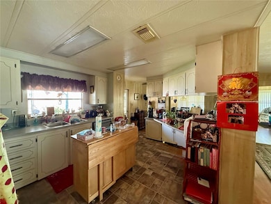 unlisted-address, Wildwood, FL 34785 - photo 5