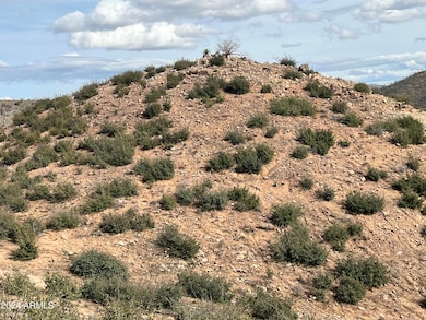 00000 E Ranch Creek Rd, Globe, AZ 85501 - photo 4