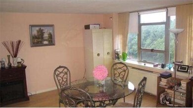 Imperial Towers unit 703, Chestnut Hill, MA 02467 - photo 7