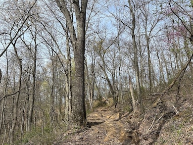 0 Chesterville Rd unit Lot WP001 23687476, Mineral Wells, WV 26150 - photo 7