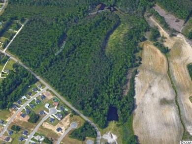 TBD Hemingway Chapel Rd, Conway, SC 29526 - photo 4