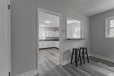 428 N Sherman St, Lincoln, IL 62656 - photo 5