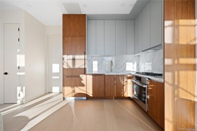 Oasis Astoria unit 3-A, Long Island City, NY 11106 - photo 3