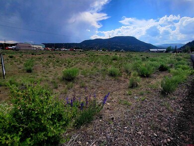 132 Big River Way, South Fork, CO 81154 - photo 4