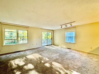 91 Staniford St unit 8, Auburndale, MA 02466 - photo 3