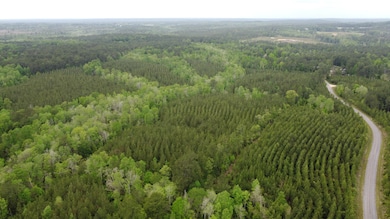 0 Pugh Rd, Shubuta, MS 39360 - photo 2