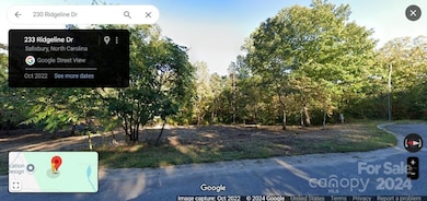 230 Ridgeline Dr unit 15, Salisbury, NC 28146 - photo 6