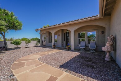 Saguaro-5