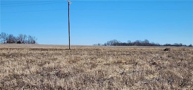 4803 NW Highway Dd, Urich, MO 64788 - photo 6