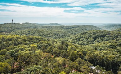 DJI_0778