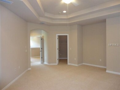10013 Coldwater Loop, Land O Lakes, FL 34638 - photo 5