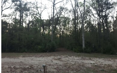 891 Washinton Ave, Fort White, FL 32038 - photo 3