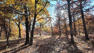 0000 County Road 64, Wheatland, MO 65779 - photo 5
