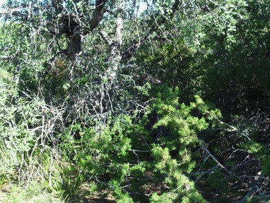 Old growth
