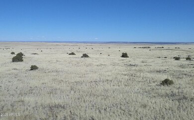 102 County Rd N3513 --, Concho, AZ 85924 - photo 7