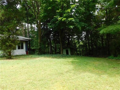 Secluded backyard to be enjoyed