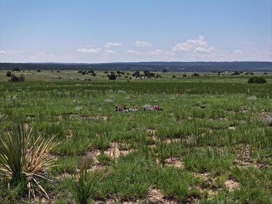 DJI_20250609113732_0042_D
