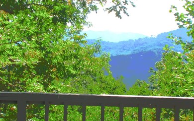 Additional View