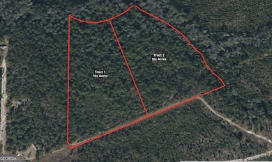 0 Sandpiper Ln unit TRACT 2, Swainsboro, GA 30401 - photo 2