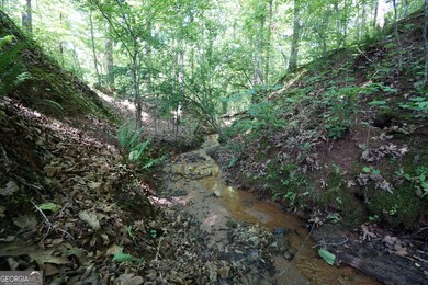 0 Springdale Dr unit 10647918, Palmetto, GA 30268 - photo 5