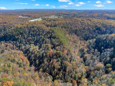 12970 Sr-56, Altamont, TN 37301 - photo 4