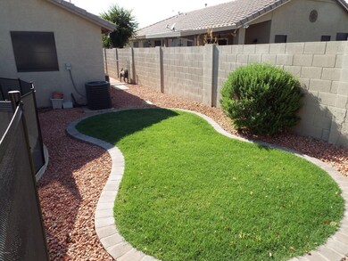 backyard (7)