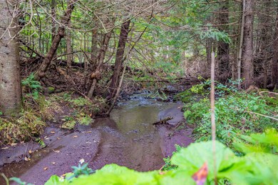 918 Maple Ln, Walden, VT 05873 - photo 7