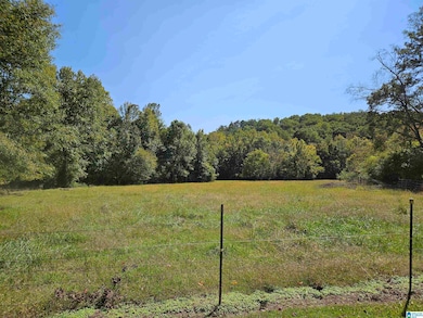 3476 Beason Cove Rd, Steele, AL 35987 - photo 6