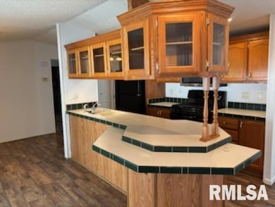 1500 N Bruns Ln unit 12, Springfield, IL 62702 - photo 4