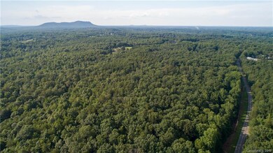 33.5 Acres Crowders Creek Rd, Gastonia, NC 28052 - photo 6