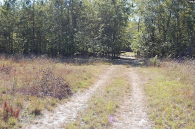 322 Sandspur Rd, Camden, SC 29020 - photo 6