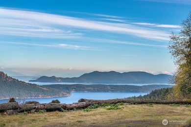 1637 Spring Hill Rd, Eastsound, WA 98245 - photo 6