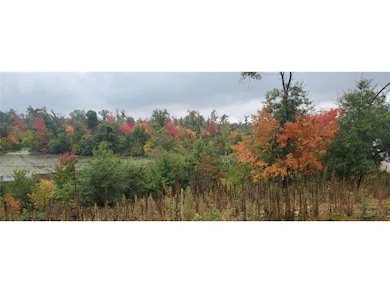 Lot 1 S 8th St, Cameron, WI 54822 - photo 6