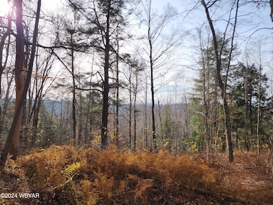 0 Pole Bridge Rd unit LOT 38 WB-100450, Laporte Township, PA 17758 - photo 3