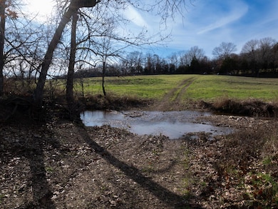 000 S 120th Rd, West Looney Township, MO 65710 - photo 2