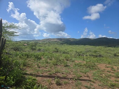 21 Llanos Costa unit 21, Cabo Rojo, PR 00623 - photo 4