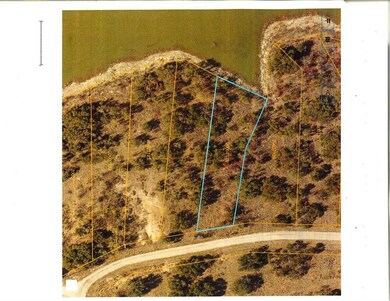 Lot 26 Turner Ranch Rd, Brownwood, TX 76801 - photo 3