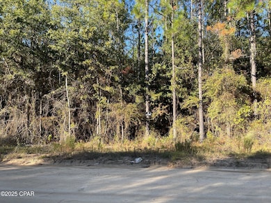 000 Cross Country Blvd, Marianna, FL 32446 - photo 2