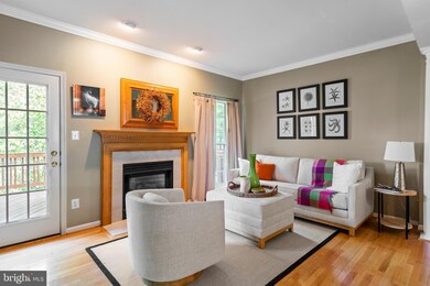 20321 Briarcliff Terrace, Sterling, VA 20165 - photo 7