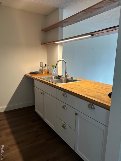 1555 W Pond Dr unit 33, Okemos, MI 48864 - photo 5