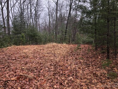 TBD Deer Run unit 56, Purlear, NC 28665 - photo 4