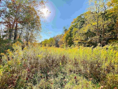 Lot 2 Blizzards Gate Rd, Harman, WV 26270 - photo 4